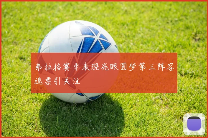 弗拉格赛季表现亮眼圆梦第三阵容选票引关注
