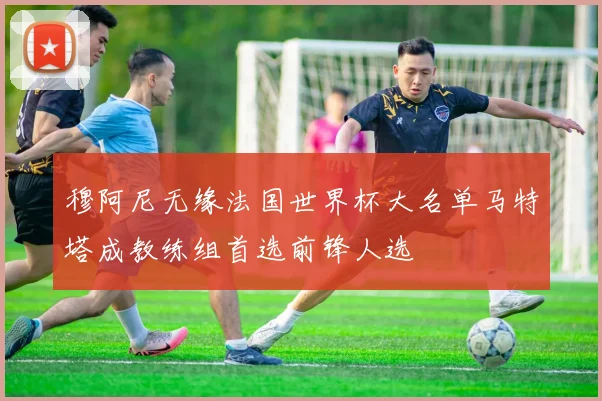 穆阿尼无缘法国世界杯大名单马特塔成教练组首选前锋人选