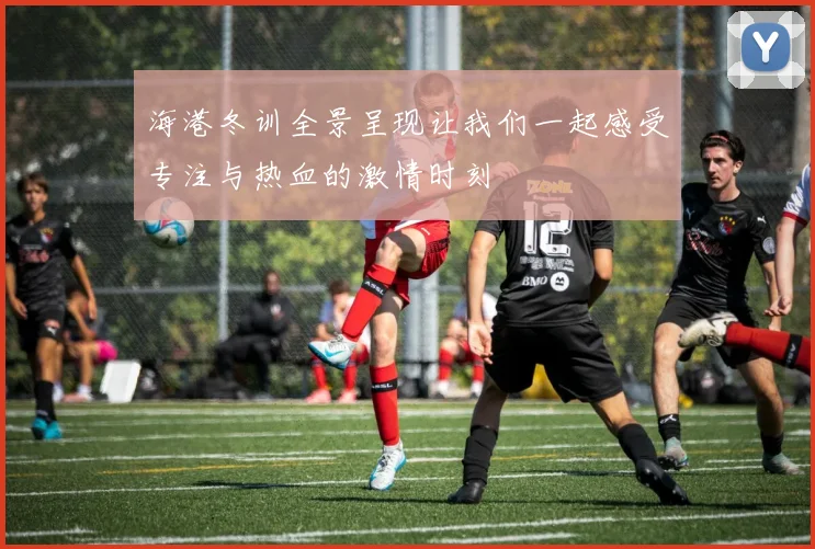 海港冬训全景呈现让我们一起感受专注与热血的激情时刻