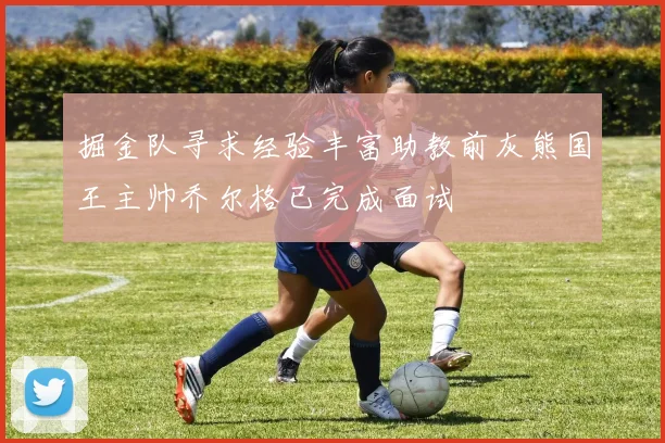 掘金队寻求经验丰富助教前灰熊国王主帅乔尔格已完成面试